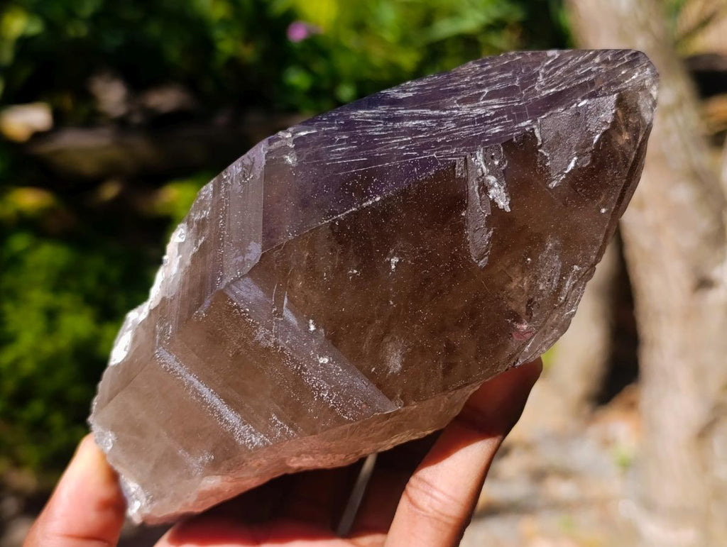 Natural Large Smokey Quartz Crystals x 2 From Mulanje, Malawi - Toprock Gemstones and Minerals 