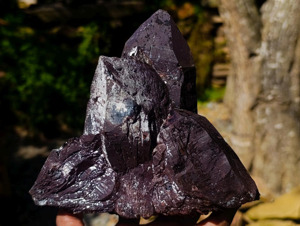 Natural Large Smokey Quartz Crystals x 2 From Mulanje, Malawi - Toprock Gemstones and Minerals 