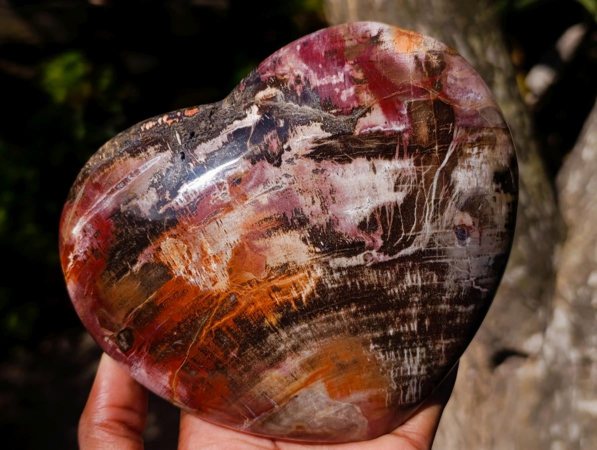 Polished Large Red Podocarpus Petrified Wood Heart x 1 From Mahajanga, Madagascar - Toprock Gemstones and Minerals 