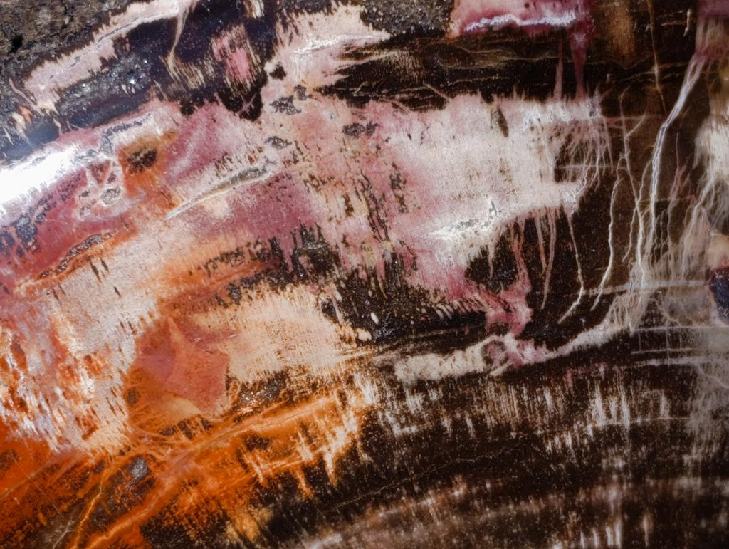 Polished Large Red Podocarpus Petrified Wood Heart x 1 From Mahajanga, Madagascar - Toprock Gemstones and Minerals 