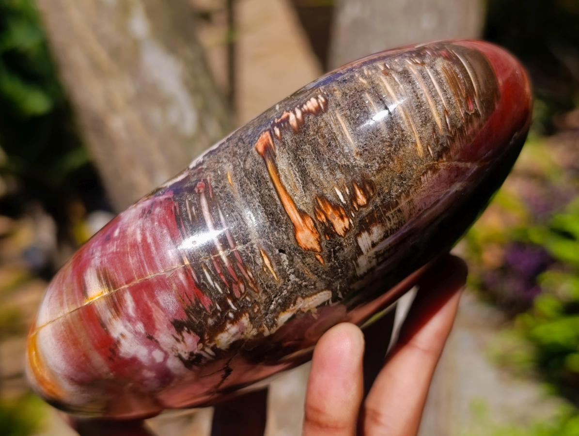 Polished Large Red Podocarpus Petrified Wood Heart x 1 From Mahajanga, Madagascar - Toprock Gemstones and Minerals 