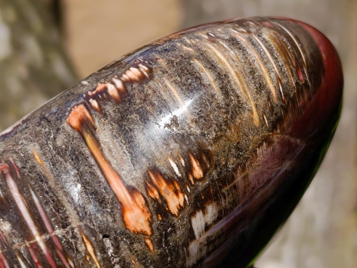 Polished Large Red Podocarpus Petrified Wood Heart x 1 From Mahajanga, Madagascar - Toprock Gemstones and Minerals 