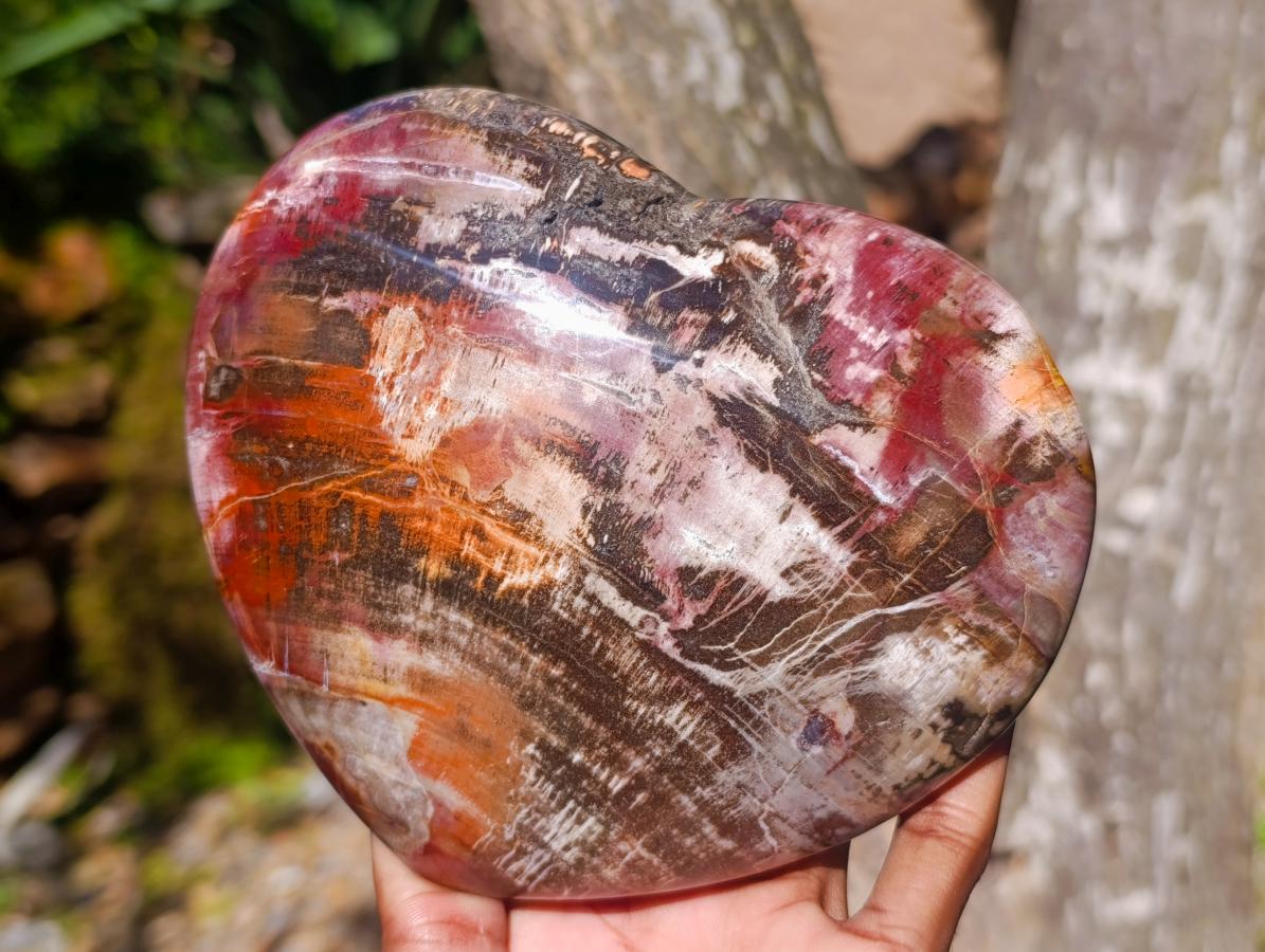 Polished Large Red Podocarpus Petrified Wood Heart x 1 From Mahajanga, Madagascar - Toprock Gemstones and Minerals 