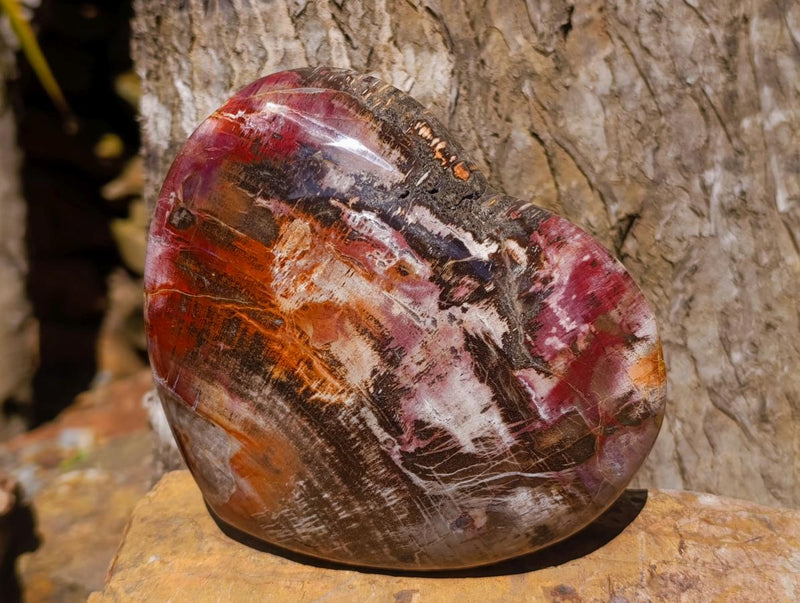Polished Large Red Podocarpus Petrified Wood Heart x 1 From Mahajanga, Madagascar - Toprock Gemstones and Minerals 