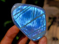Polished Rare Purple Sunset Flash Labradorite Standing Free Forms x 12 From Madagascar - Toprock Gemstones and Minerals 