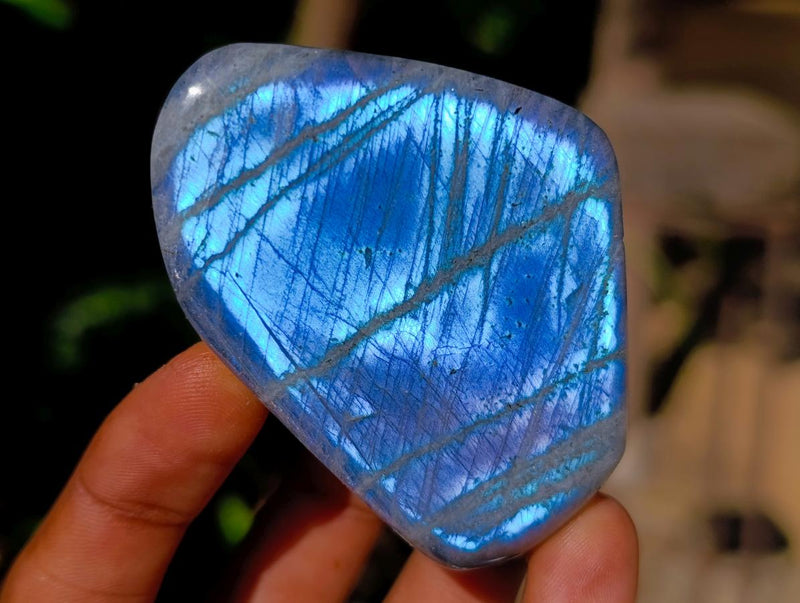 Polished Rare Purple Sunset Flash Labradorite Standing Free Forms x 12 From Madagascar - Toprock Gemstones and Minerals 