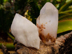 Natural Castle Quartz Crystals x 12 From Madagascar - Toprock Gemstones and Minerals 