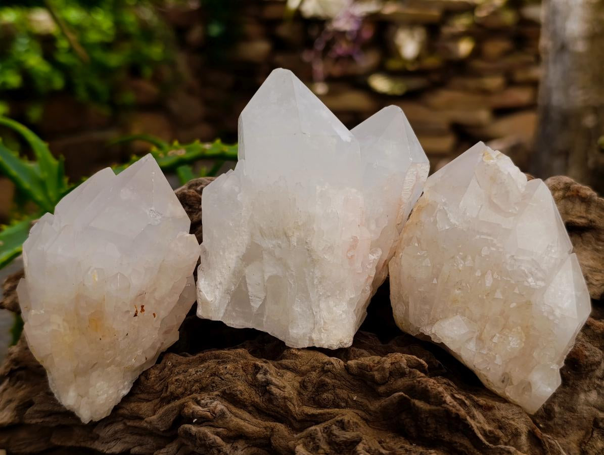 Natural Castle Quartz Crystals x 12 From Madagascar - Toprock Gemstones and Minerals 
