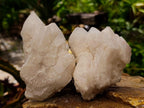 Natural Castle Quartz Crystals x 12 From Madagascar - Toprock Gemstones and Minerals 