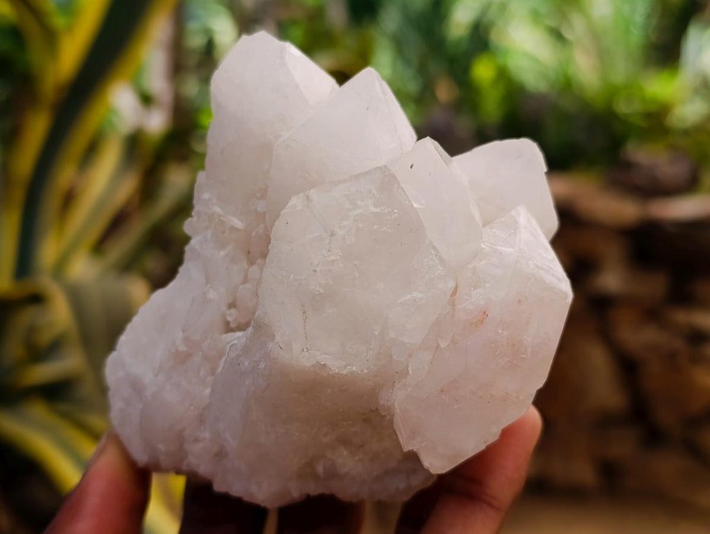 Natural Castle Quartz Crystals x 12 From Madagascar - Toprock Gemstones and Minerals 