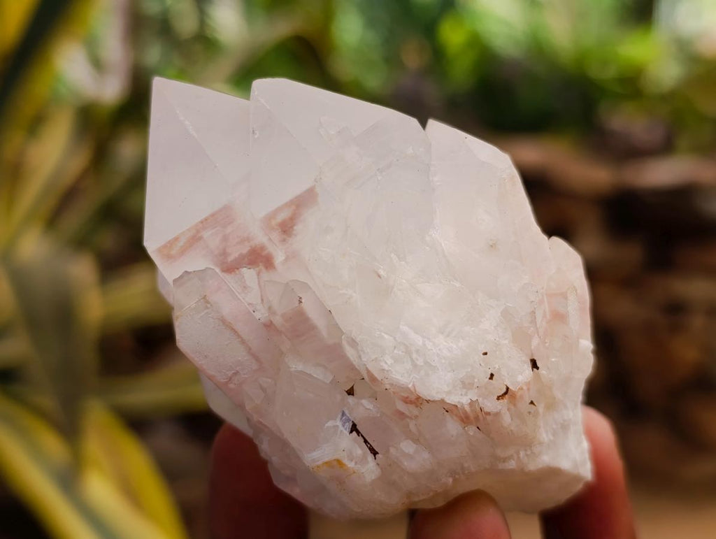 Natural Castle Quartz Crystals x 12 From Madagascar - Toprock Gemstones and Minerals 