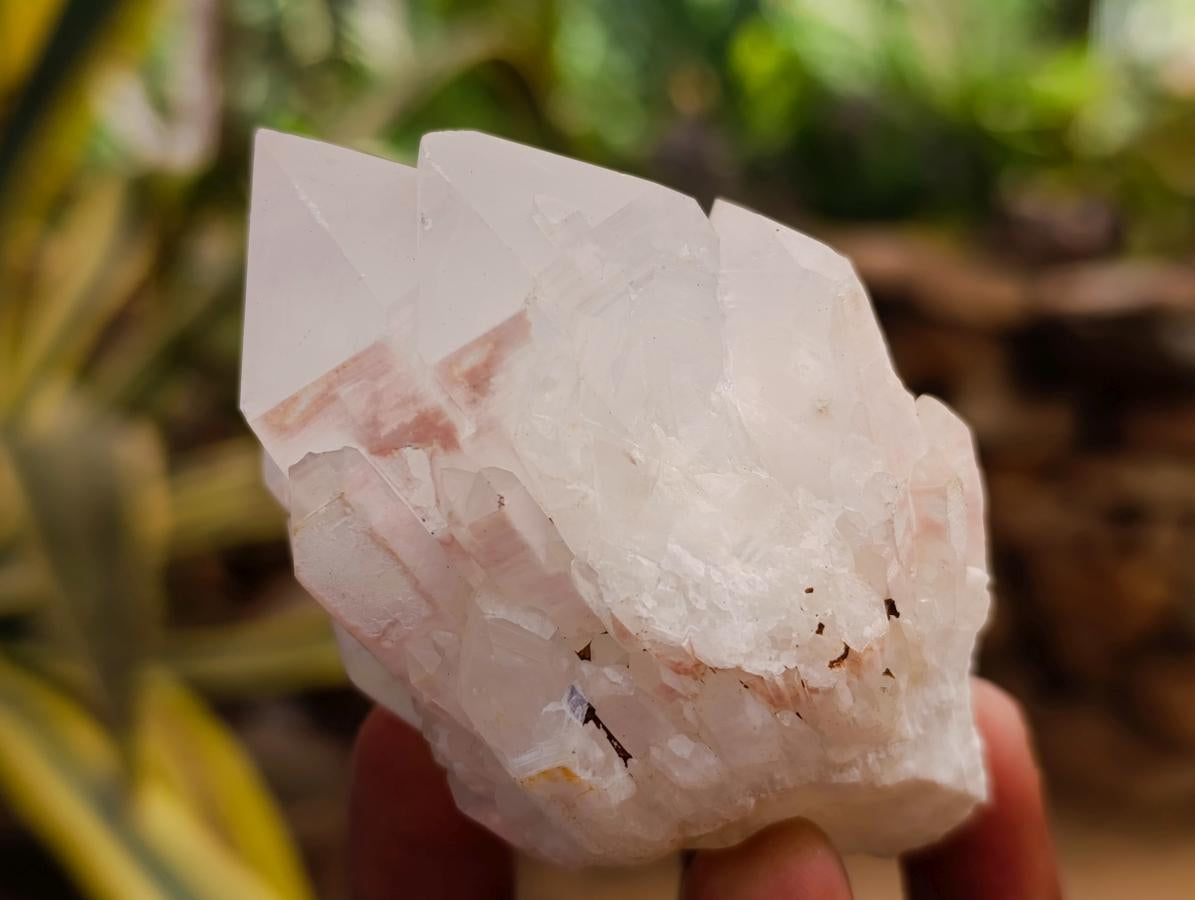 Natural Castle Quartz Crystals x 12 From Madagascar - Toprock Gemstones and Minerals 