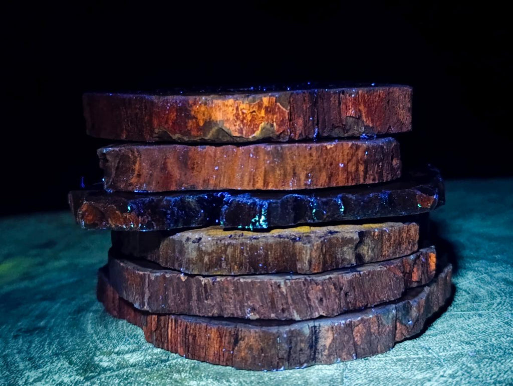 Polished Dadoxylon Petrified Wood Slices x 6 From Gokwe, Zimbabwe - Toprock Gemstones and Minerals 