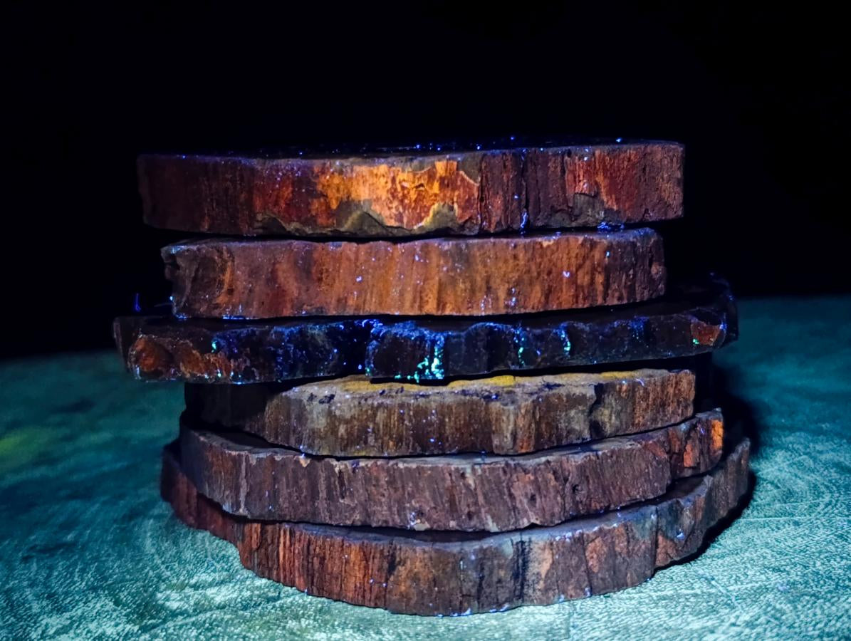 Polished Dadoxylon Petrified Wood Slices x 6 From Gokwe, Zimbabwe - Toprock Gemstones and Minerals 