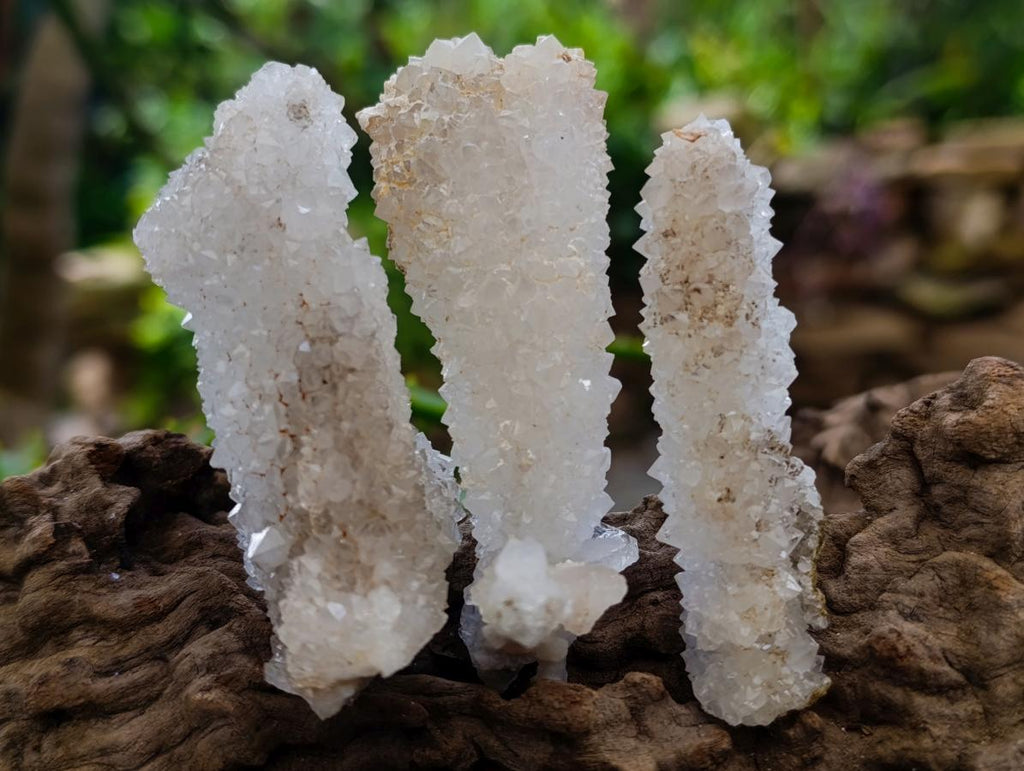 Natural Drusy Snow Finger Crystals x 35 From Albert's Mountain, Lesotho - Toprock Gemstones and Minerals 