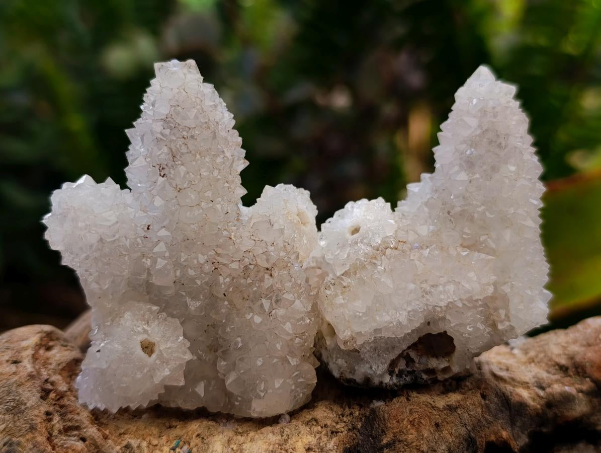 Natural Drusy Snow Finger Crystals x 35 From Albert's Mountain, Lesotho - Toprock Gemstones and Minerals 