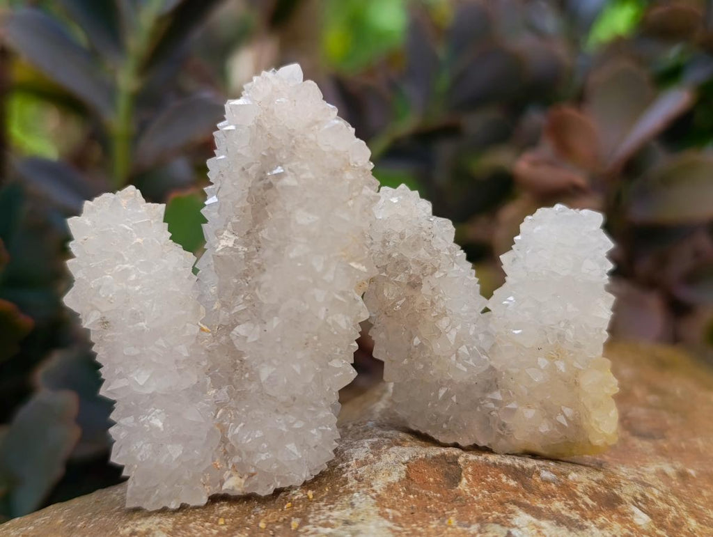 Natural Drusy Snow Finger Crystals x 35 From Albert's Mountain, Lesotho - Toprock Gemstones and Minerals 