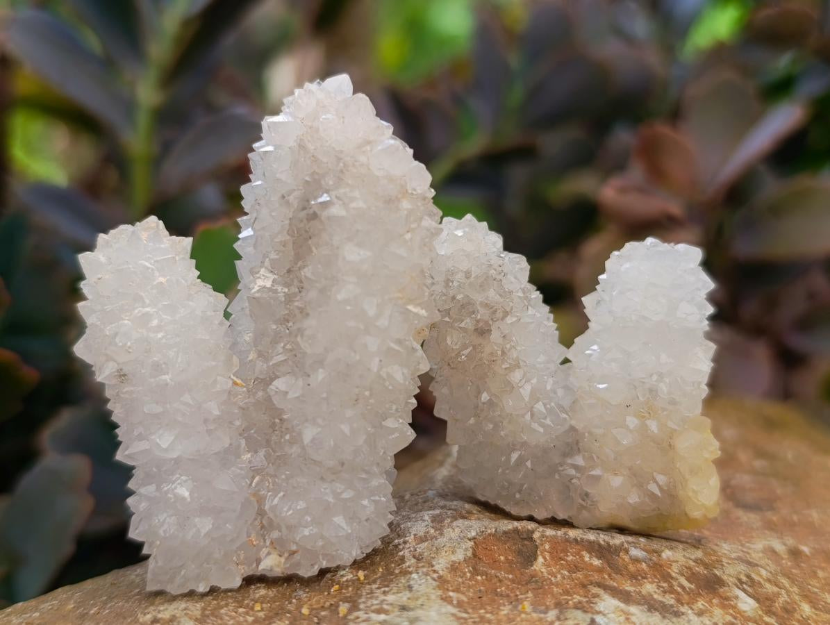 Natural Drusy Snow Finger Crystals x 35 From Albert's Mountain, Lesotho - Toprock Gemstones and Minerals 