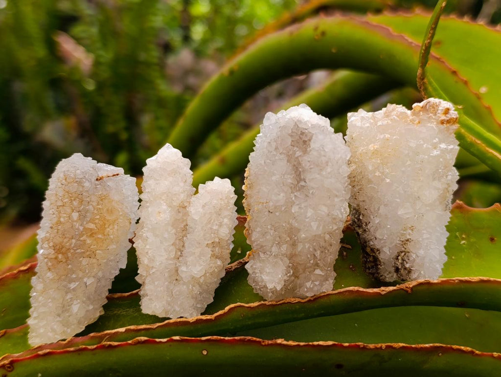 Natural Drusy Snow Finger Crystals x 35 From Albert's Mountain, Lesotho - Toprock Gemstones and Minerals 