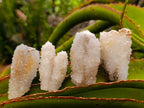 Natural Drusy Snow Finger Crystals x 35 From Albert's Mountain, Lesotho - Toprock Gemstones and Minerals 