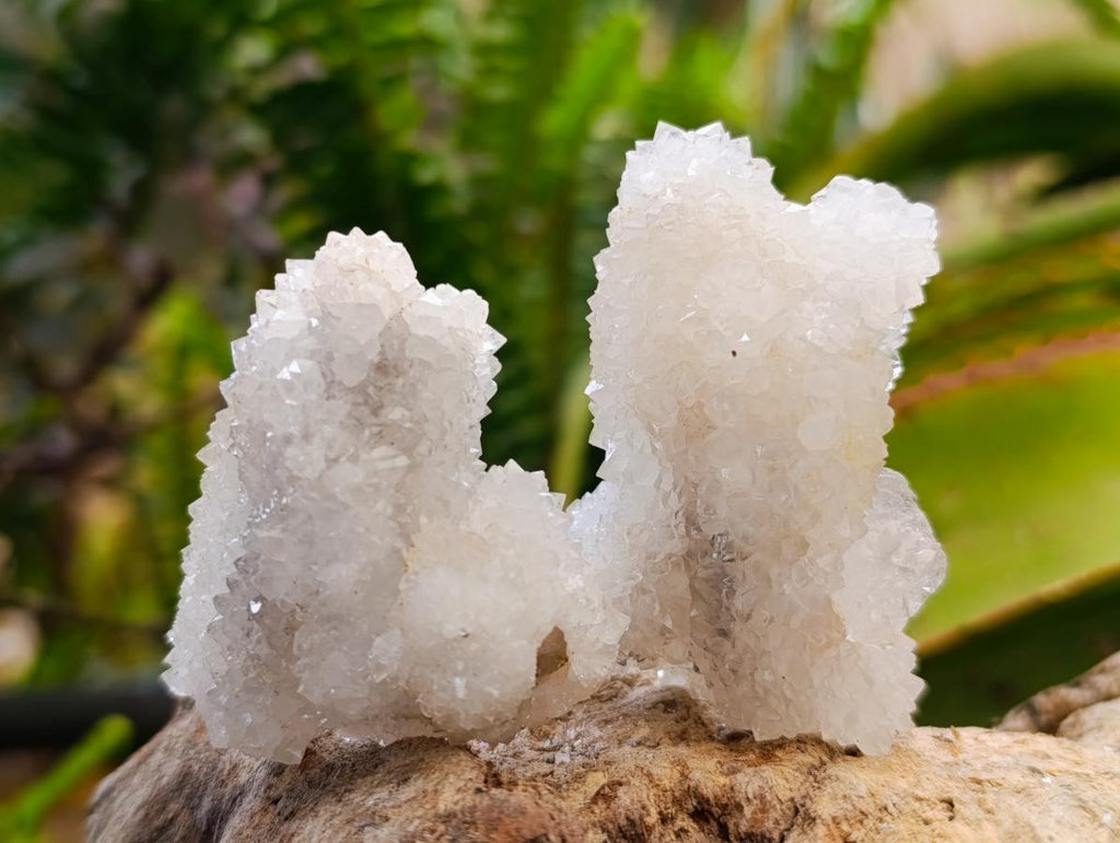 Natural Drusy Snow Finger Crystals x 35 From Albert's Mountain, Lesotho - Toprock Gemstones and Minerals 