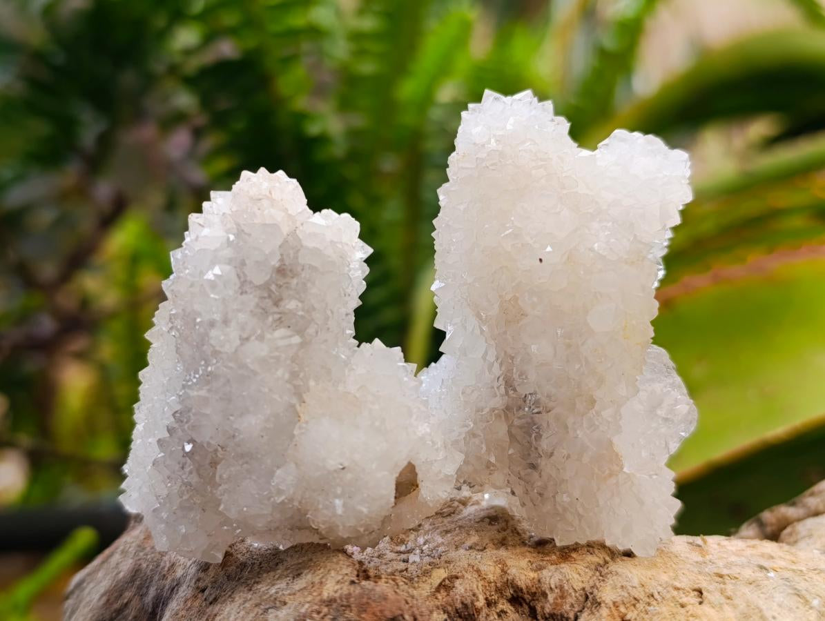 Natural Drusy Snow Finger Crystals x 35 From Albert's Mountain, Lesotho - Toprock Gemstones and Minerals 