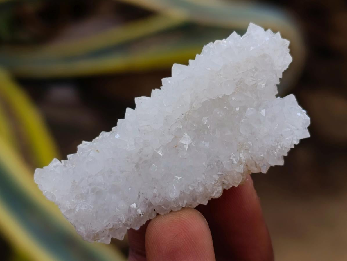 Natural Drusy Snow Finger Crystals x 35 From Albert's Mountain, Lesotho - Toprock Gemstones and Minerals 