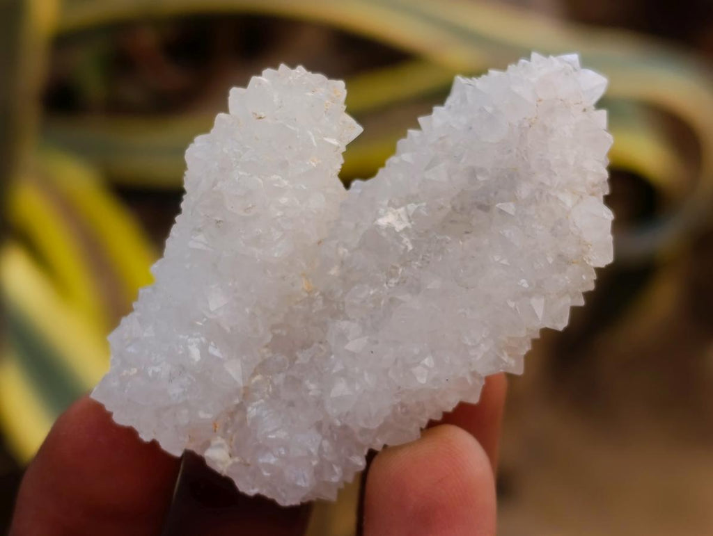 Natural Drusy Snow Finger Crystals x 35 From Albert's Mountain, Lesotho - Toprock Gemstones and Minerals 