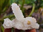 Natural Drusy Snow Finger Crystals x 35 From Albert's Mountain, Lesotho - Toprock Gemstones and Minerals 