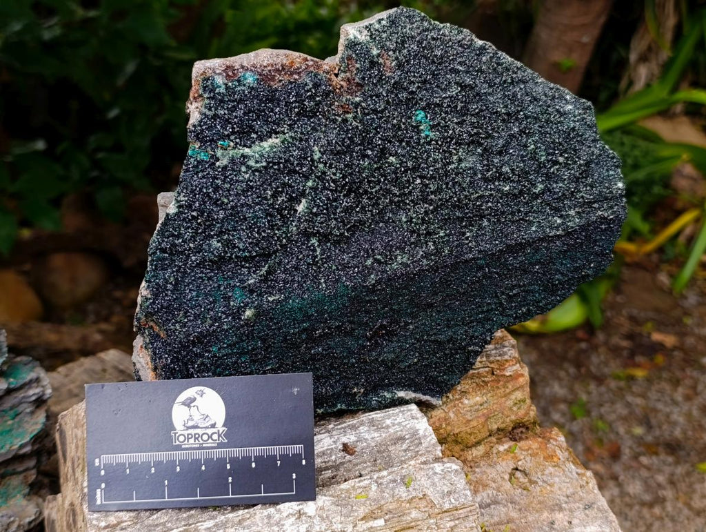 Natural Large Libethenite Crystals on Dolomite Matrix Specimen x 1 From Shituru, Congo - Toprock Gemstones and Minerals 