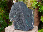 Natural Large Libethenite Crystals on Dolomite Matrix Specimen x 1 From Shituru, Congo - Toprock Gemstones and Minerals 