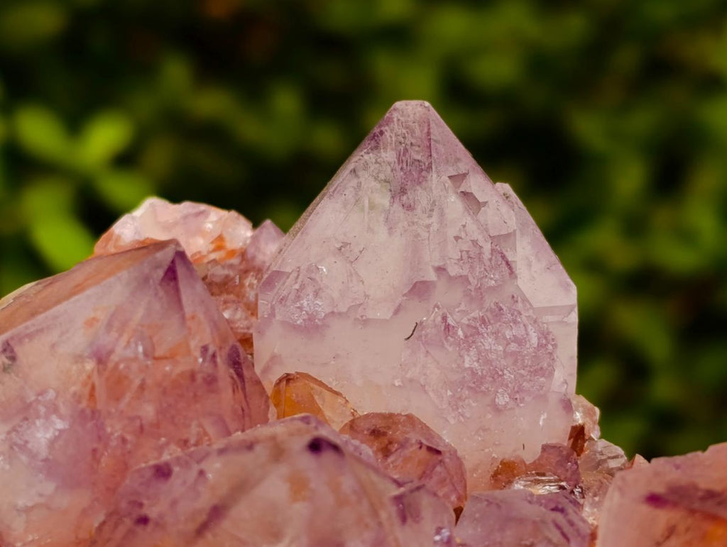 Natural Large Deep Amethyst Spirit Quartz Cluster x 1 From Boekenhouthoek, South Africa - Toprock Gemstones and Minerals 