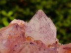 Natural Large Deep Amethyst Spirit Quartz Cluster x 1 From Boekenhouthoek, South Africa - Toprock Gemstones and Minerals 