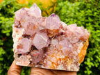 Natural Large Deep Amethyst Spirit Quartz Cluster x 1 From Boekenhouthoek, South Africa - Toprock Gemstones and Minerals 