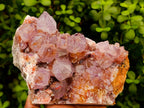 Natural Large Deep Amethyst Spirit Quartz Cluster x 1 From Boekenhouthoek, South Africa - Toprock Gemstones and Minerals 