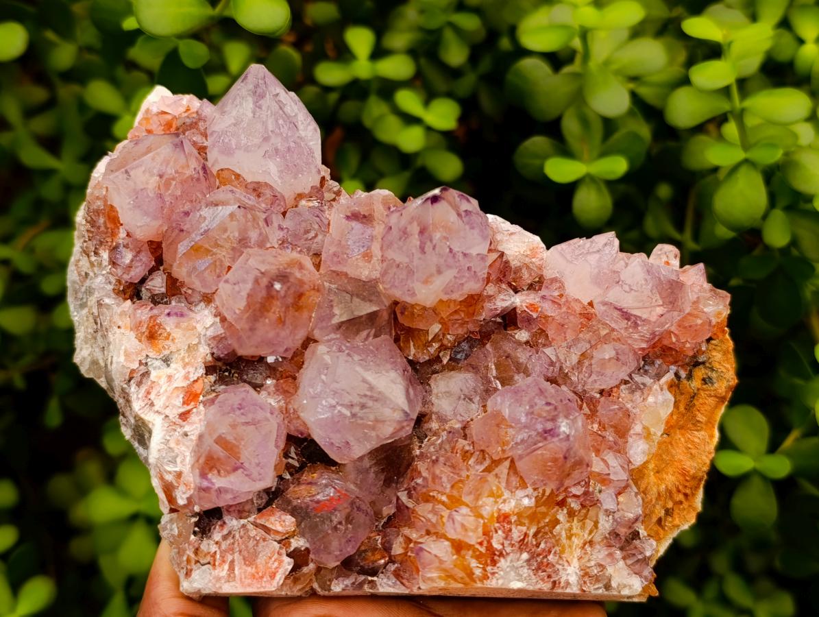 Natural Large Deep Amethyst Spirit Quartz Cluster x 1 From Boekenhouthoek, South Africa - Toprock Gemstones and Minerals 