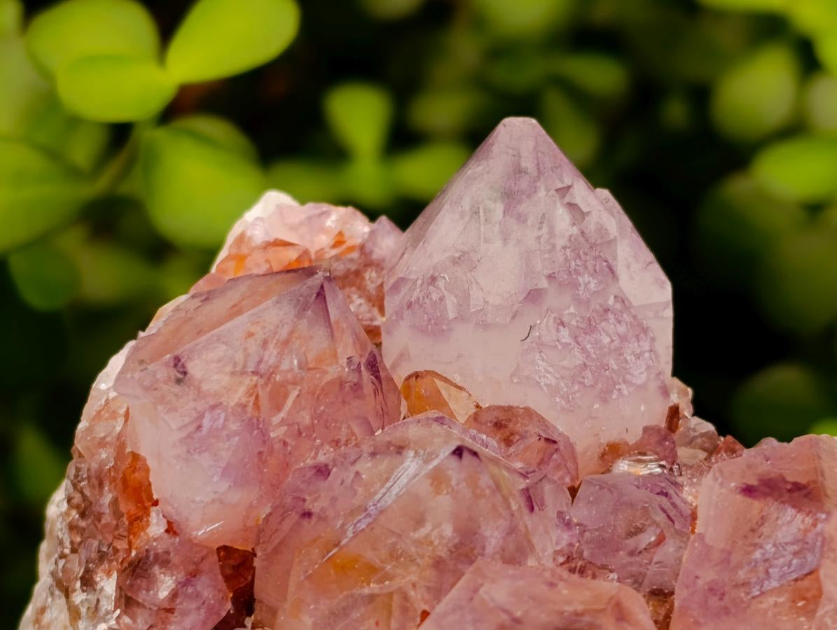 Natural Large Deep Amethyst Spirit Quartz Cluster x 1 From Boekenhouthoek, South Africa - Toprock Gemstones and Minerals 