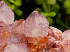 Natural Large Deep Amethyst Spirit Quartz Cluster x 1 From Boekenhouthoek, South Africa - Toprock Gemstones and Minerals 