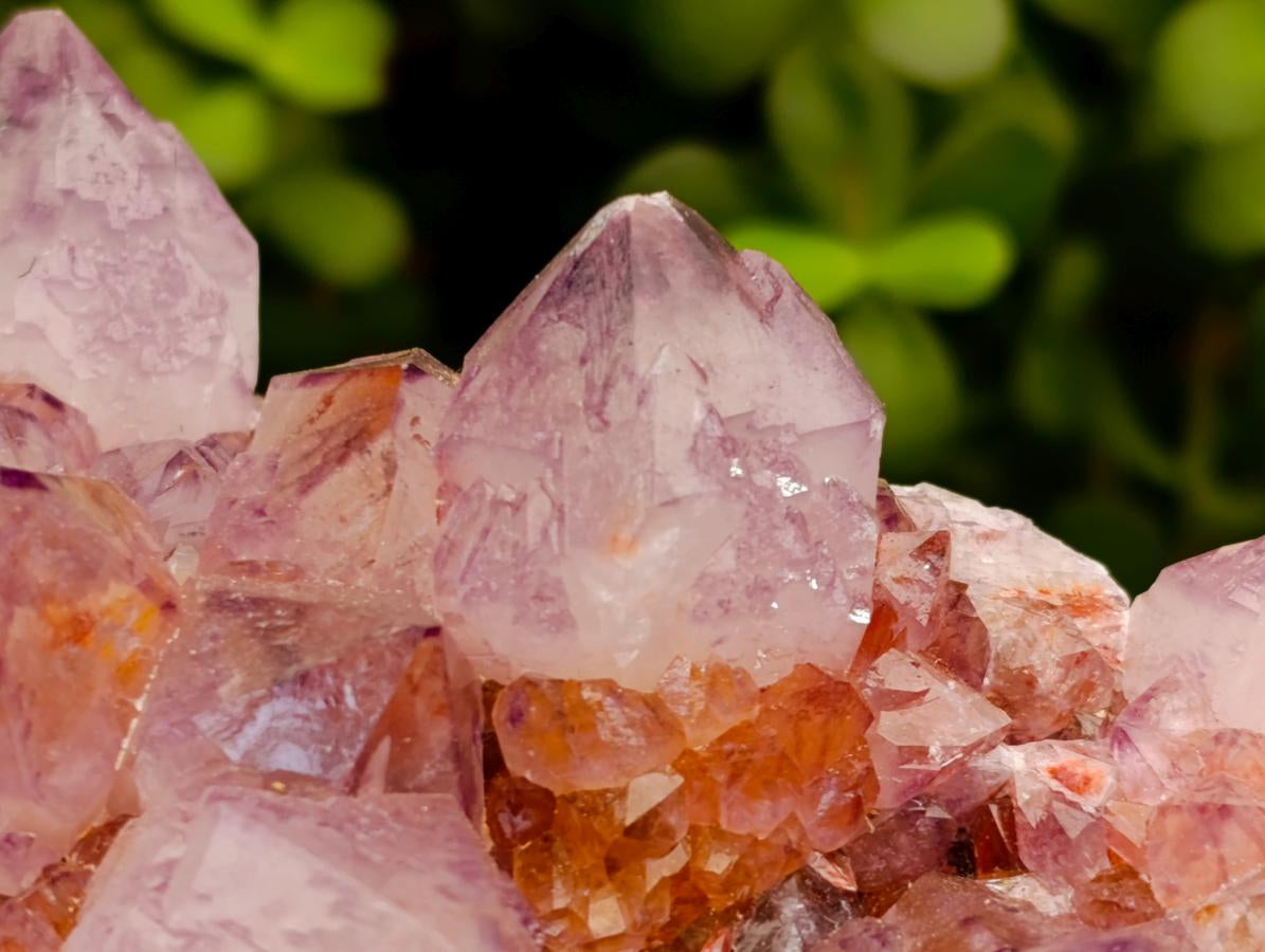 Natural Large Deep Amethyst Spirit Quartz Cluster x 1 From Boekenhouthoek, South Africa - Toprock Gemstones and Minerals 