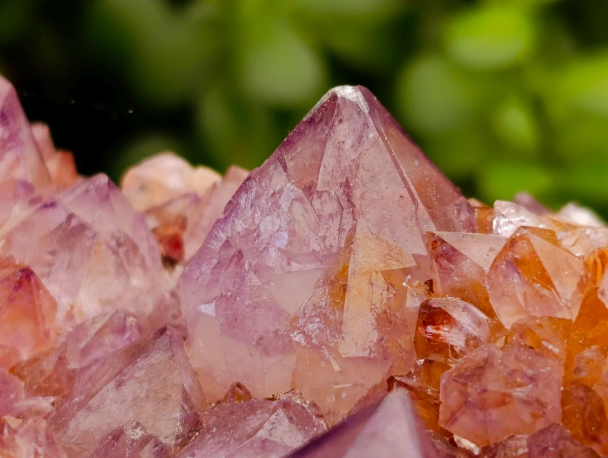Natural Large Deep Amethyst Spirit Quartz Cluster x 1 From Boekenhouthoek, South Africa - Toprock Gemstones and Minerals 