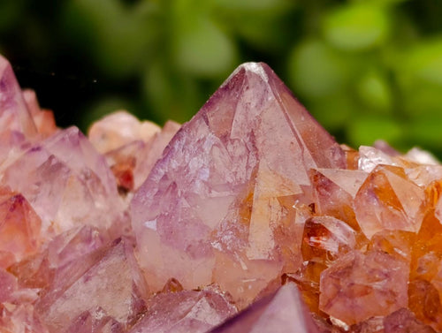 Natural Large Deep Amethyst Spirit Quartz Cluster x 1 From Boekenhouthoek, South Africa - Toprock Gemstones and Minerals 
