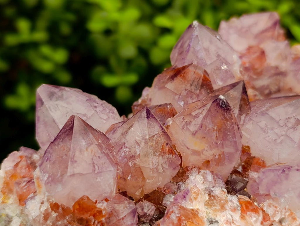 Natural Large Deep Amethyst Spirit Quartz Cluster x 1 From Boekenhouthoek, South Africa - Toprock Gemstones and Minerals 