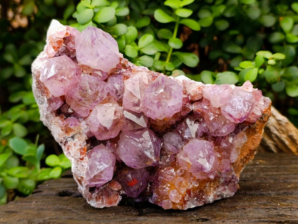 Natural Large Deep Amethyst Spirit Quartz Cluster x 1 From Boekenhouthoek, South Africa - Toprock Gemstones and Minerals 