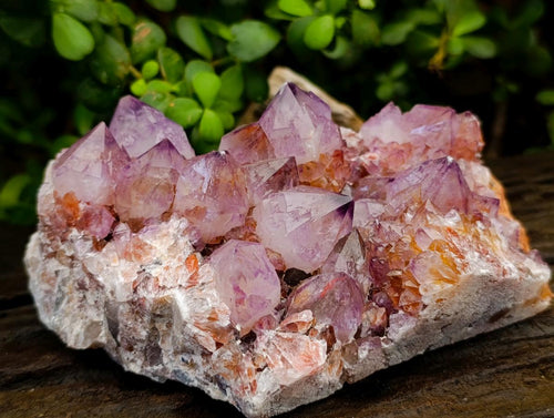 Natural Large Deep Amethyst Spirit Quartz Cluster x 1 From Boekenhouthoek, South Africa - Toprock Gemstones and Minerals 