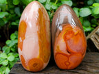 Polished Polychrome Jasper Standing Free Forms x 4 From NW Coast, Madagascar - Toprock Gemstones and Minerals 