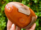 Polished Polychrome Jasper Standing Free Forms x 4 From NW Coast, Madagascar - Toprock Gemstones and Minerals 