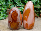 Polished Polychrome Jasper Standing Free Forms x 4 From NW Coast, Madagascar - Toprock Gemstones and Minerals 
