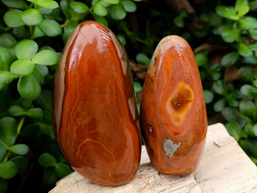 Polished Polychrome Jasper Standing Free Forms x 4 From NW Coast, Madagascar - Toprock Gemstones and Minerals 