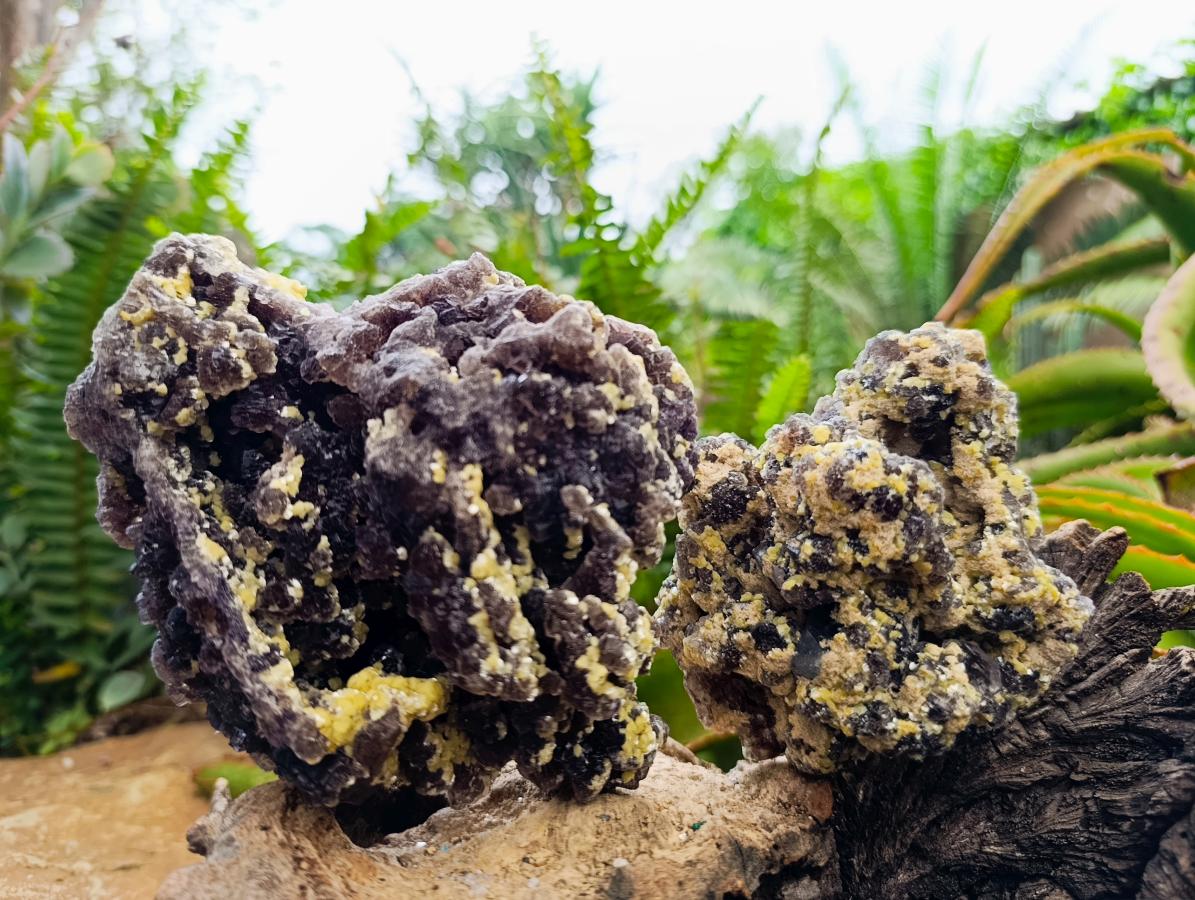 Natural Smokey Fluorite with Yellow Muscovite Mica Specimens x 2 From Erongo, Namibia - Toprock Gemstones and Minerals 