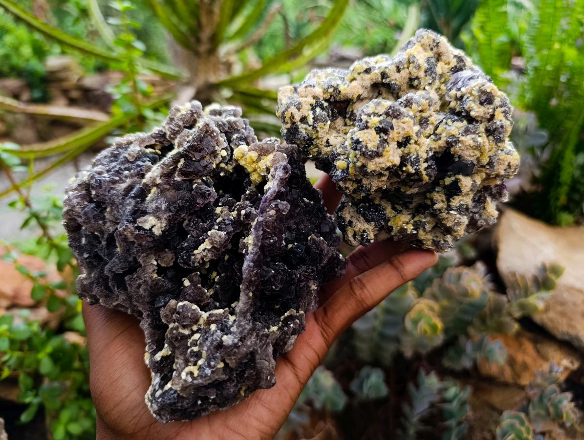 Natural Smokey Fluorite with Yellow Muscovite Mica Specimens x 2 From Erongo, Namibia - Toprock Gemstones and Minerals 